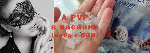 молекула духа Галич