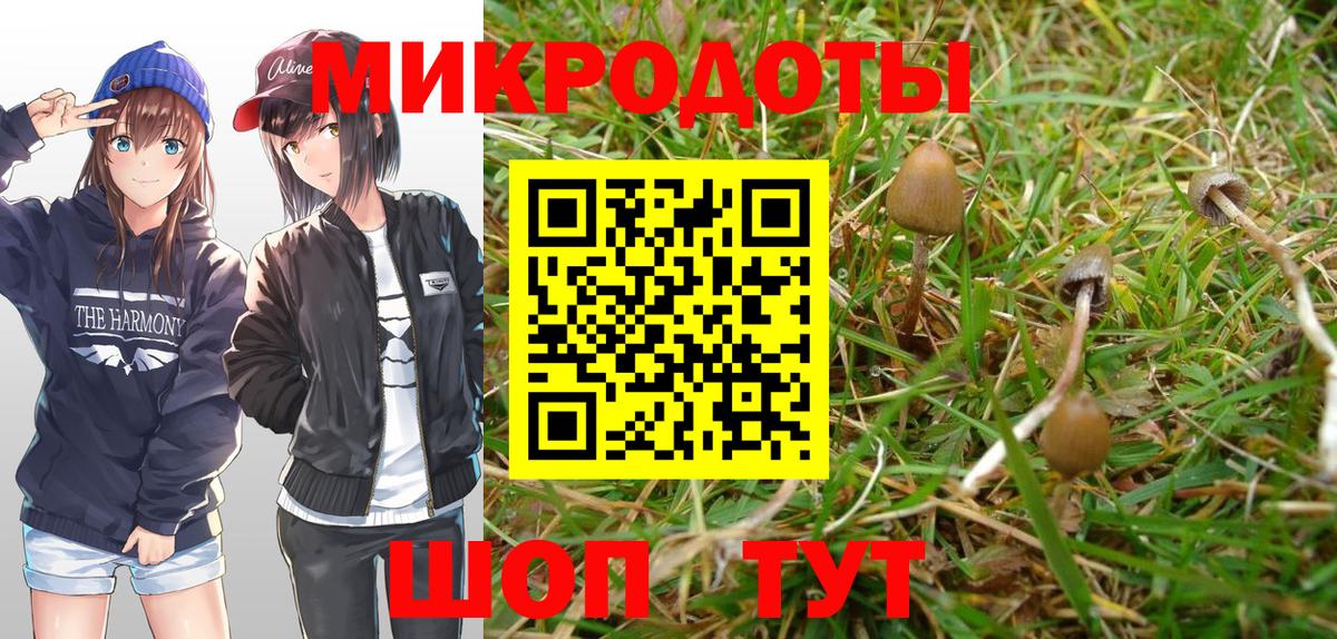 Псилоцибиновые грибы Magic Shrooms Кинель