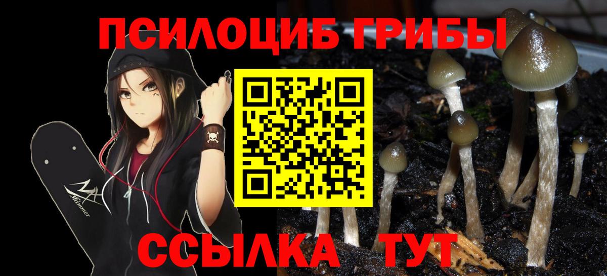 Alpha PVP Кинель