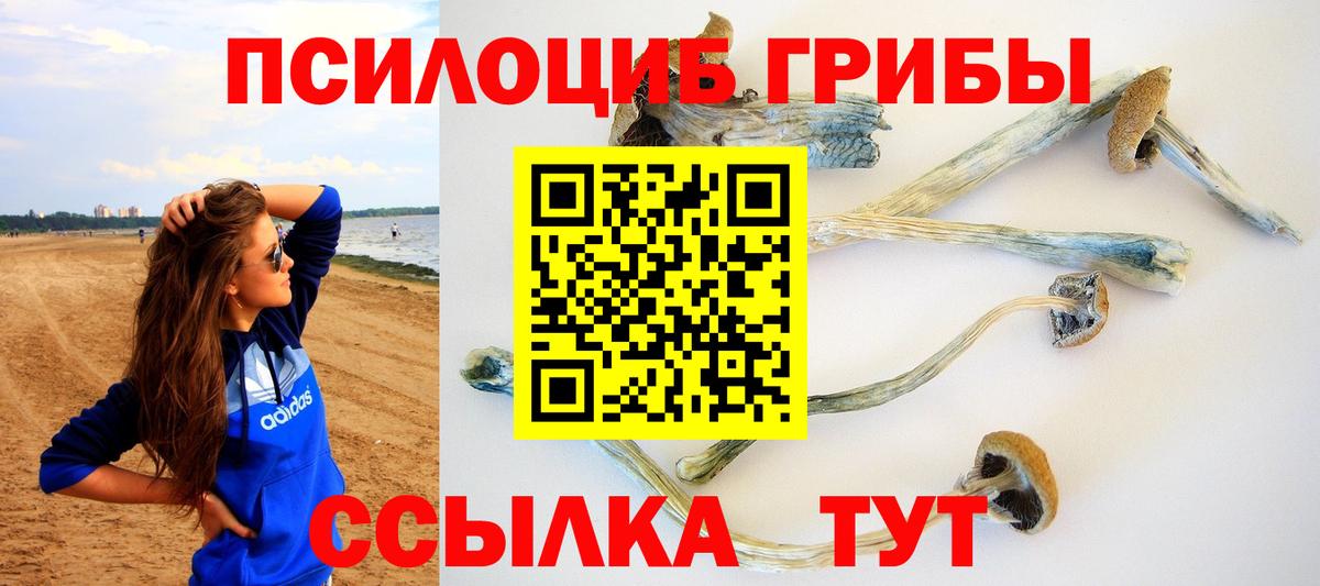 Кинель  хочу наркоту  Вход с VPN  Псилоцибиновые грибы Psilocybe 